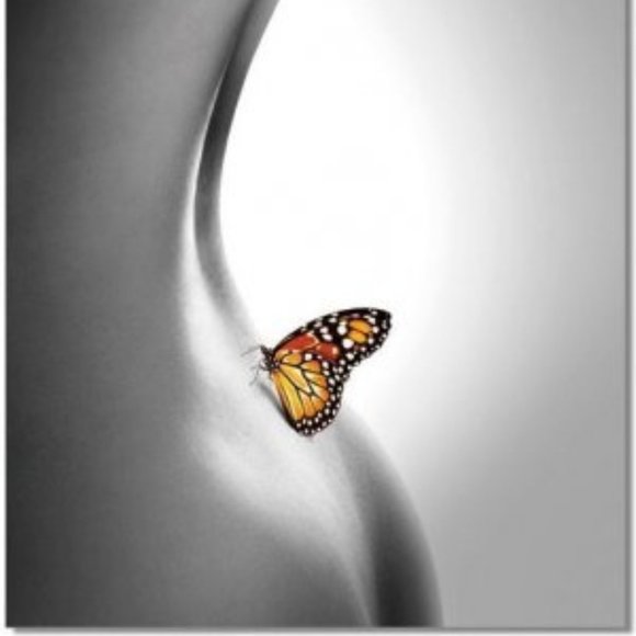 Casa Elegante Other - Premium Acrylic Wall Art - Butterfly